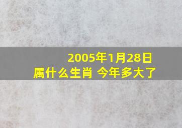 2005年1月28日属什么生肖 今年多大了